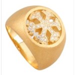 anello-scudo-fiocco-removebg-preview