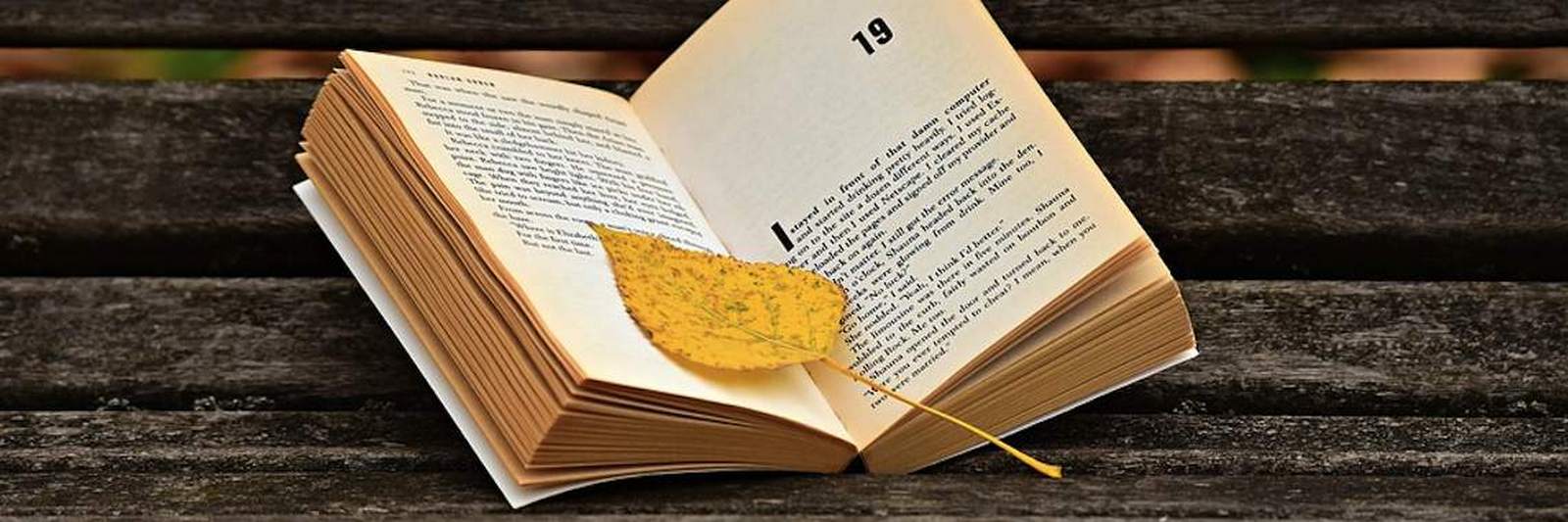 cultura-realidee-2-min